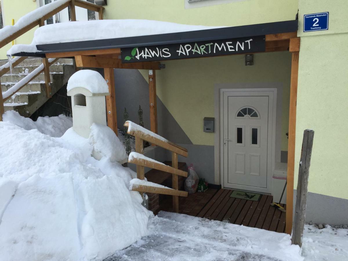 Hawis Appartement Maishofen Buitenkant foto
